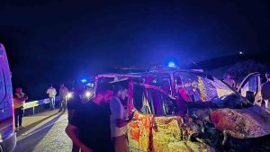 Bingöl’de panelvan yola çıkan ata çarptı: 1 ölü, 2 yaralı