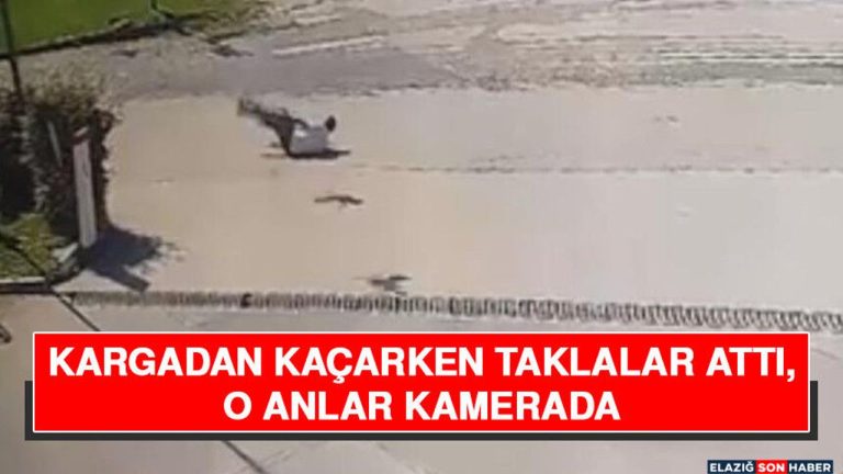 Kargadan Kaçarken Taklalar Attı, O Anlar Kamerada